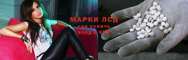 спиды Нефтекумск