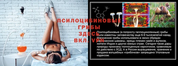 спиды Нефтекумск
