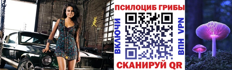 наркота  Йошкар-Ола  Псилоцибиновые грибы мицелий 