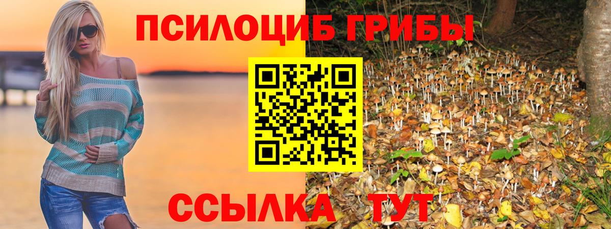 Псилоцибиновые грибы MAGIC MUSHROOMS  Вход с VPN  Йошкар-Ола 