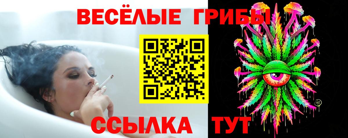 Псилоцибиновые грибы Magic Shrooms Йошкар-Ола