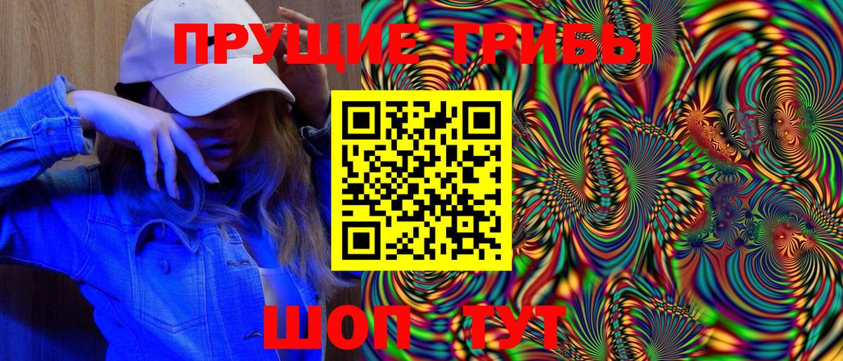 где можно купить наркотик  Йошкар-Ола  Псилоцибиновые грибы прущие грибы 